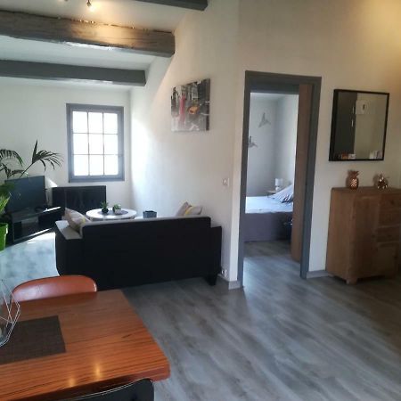 Appartement "Le Passage" 50 Passage De L'Ancien Courrier Narbonne Eksteriør bilde
